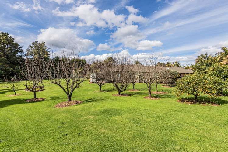 237 Pipiwai Road Ngararatunua_24