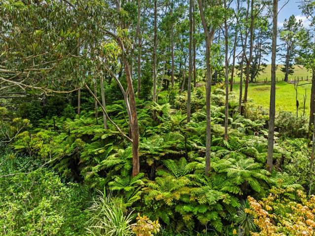 Lot 1/27 Riddell Road Kerikeri_4