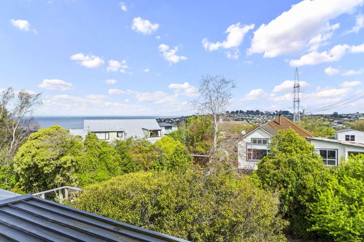 207 Elgin Road Balaclava_25