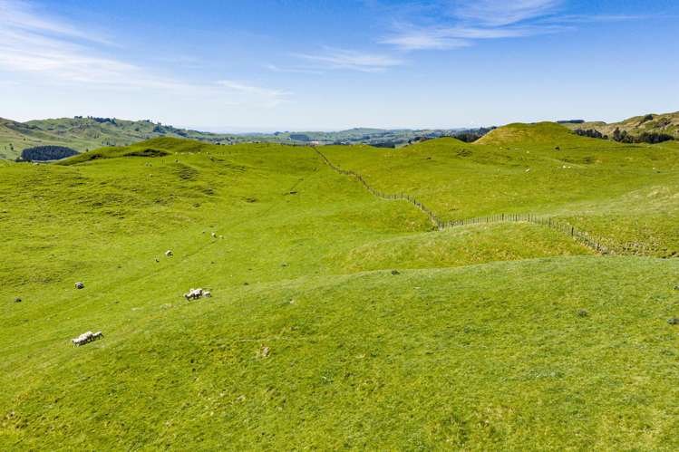 1262 - 1520 Maraetotara Road Waimarama_10