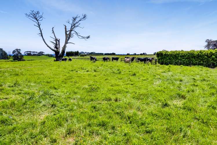 313 Egmont Road Hillsborough_15