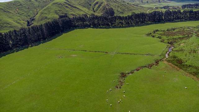 1614 Hinemoa Valley Road Pahiatua_4
