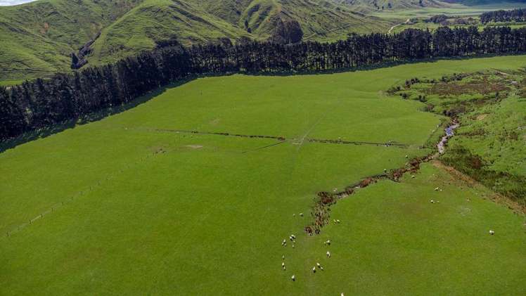 1614 Hinemoa Valley Road Pahiatua_4