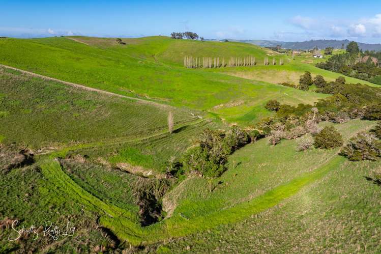 Massey Road Maungaturoto_19