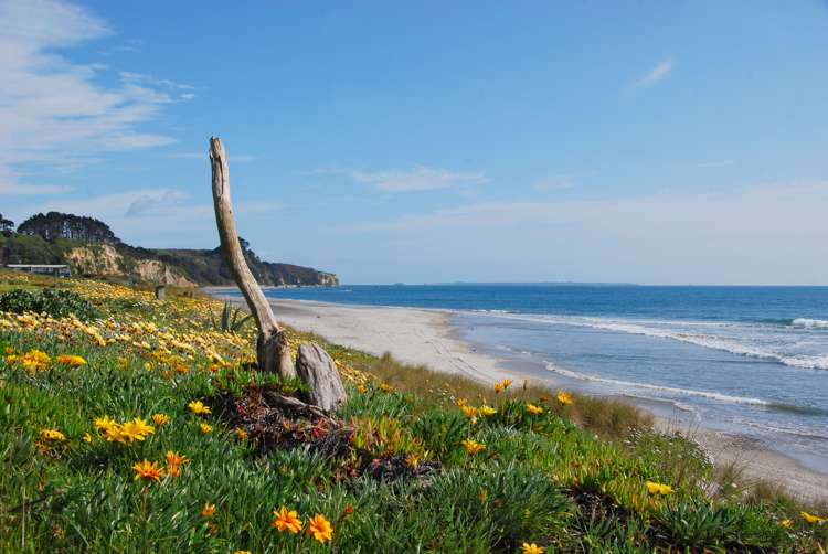 605 Pukehina Parade Pukehina_22