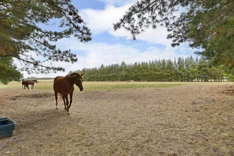 279 Balcairn Amberley Road Balcairn_15