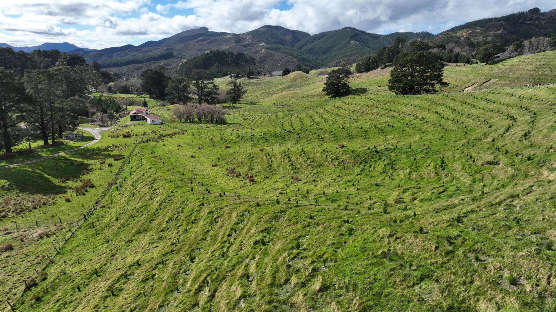 2164 Te Mai Road Tinui Valley_0