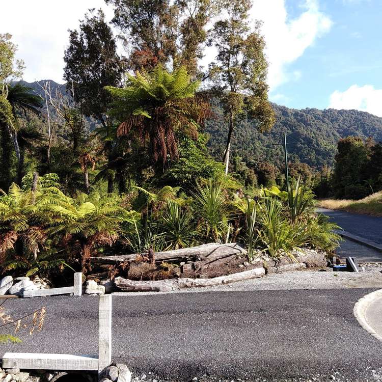 5 Middleton Place Franz Josef Glacier_8