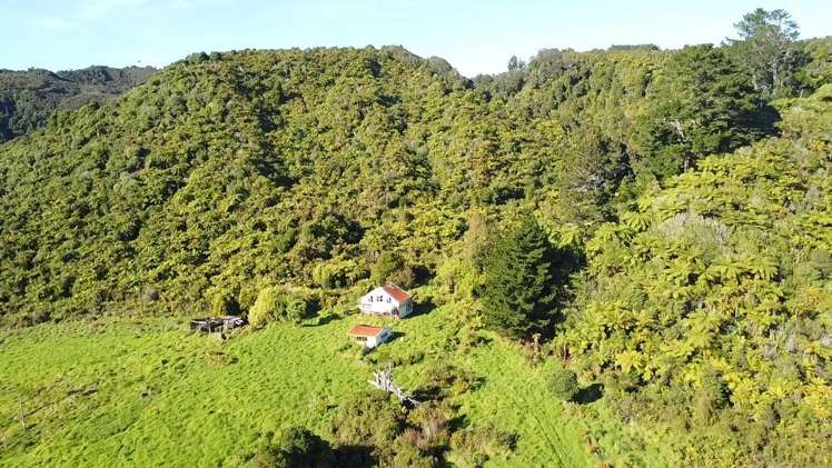 844 Nikau Road, State Highway 67_0