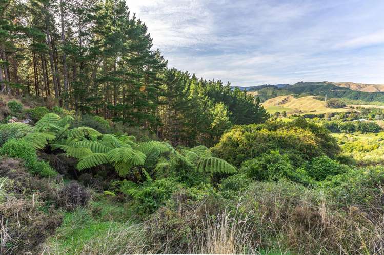 258 Waitohu Valley Road Otaki_10
