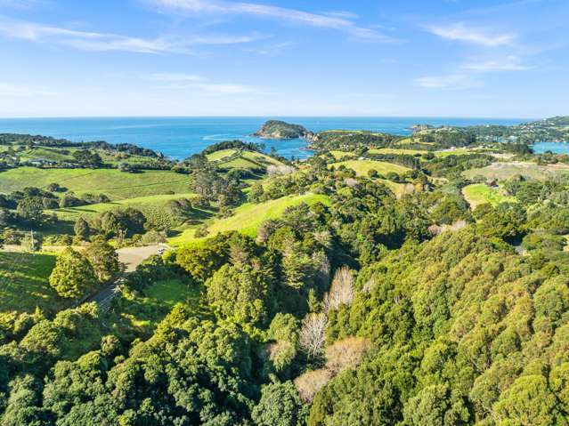 Lot 1 Middle Ridge Tutukaka Coast_3