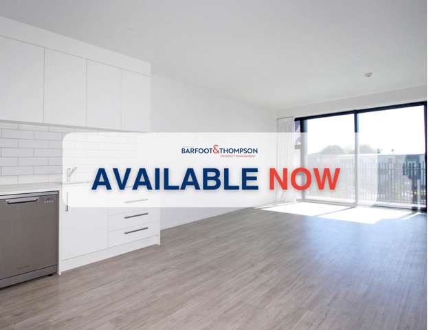 Top Floor Two Bedroom Apartment - Pt England