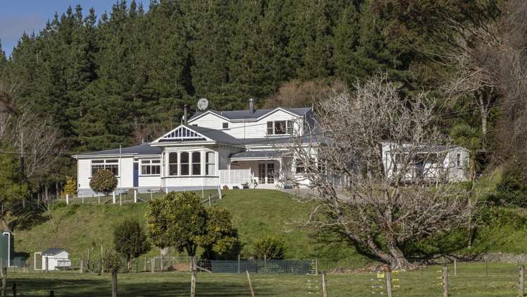 97 Adams Peak Road Masterton_17