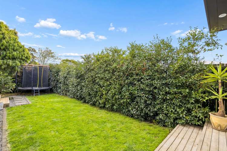 1B Segar Avenue Mt Albert_12