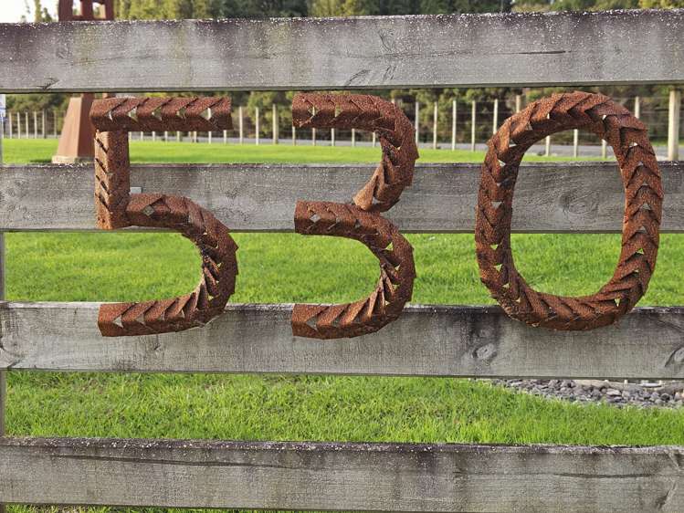 530 Kahikatea Flat Road Waitoki_28