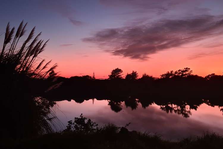 25 Pohutukawa Drive Athenree_30