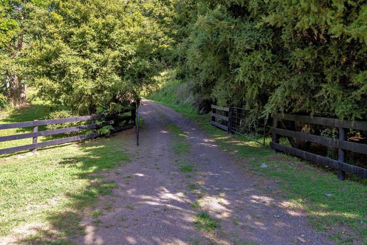 250 Pakihi Road Opotiki_43