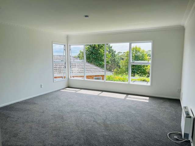 169 Norman Lesser Drive Remuera_3