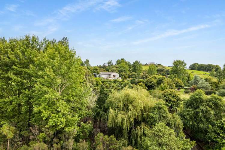 561 Settlement Road Kaiwaka_14