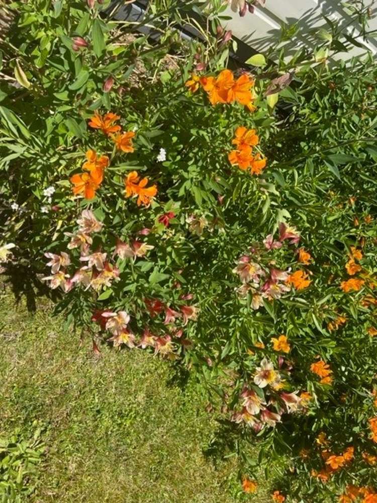 92 Reservoir Street Putaruru_20