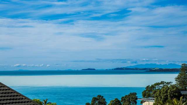 4 Brown Street Hauraki_2