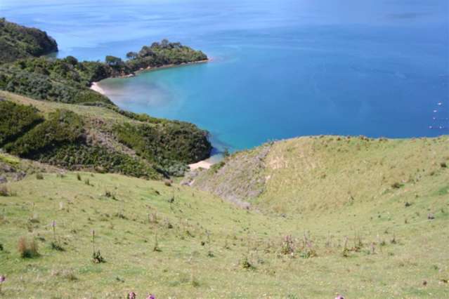 Picnic Bay Marlborough Sounds_4