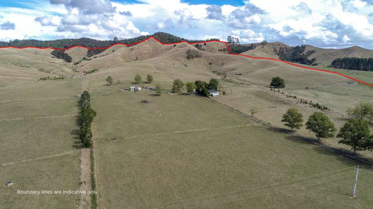 2586 State Highway 2 Maramarua_4