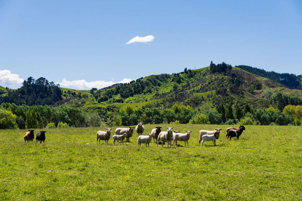 Lot Lot 2 DP 578365, Poynter Road_3