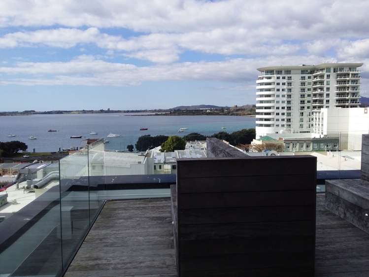 35 Grey Street Tauranga_1