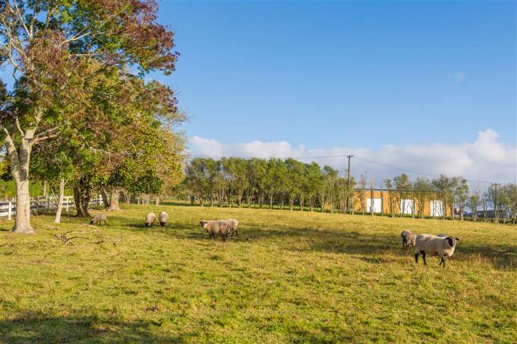 58 Glenmore Road Coatesville_8