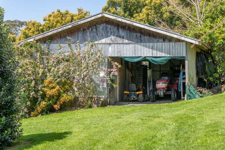 313 Youngson Road Whakamarama_16