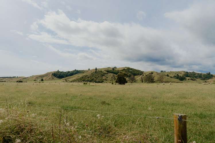 137 Matchitt Road Opotiki Surrounds_9