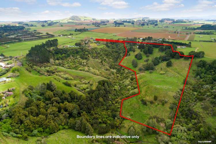 34a Punga Punga Road Pukekawa_17