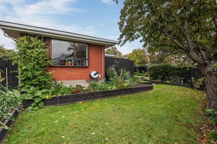 18 Lowry Avenue Redwood_11