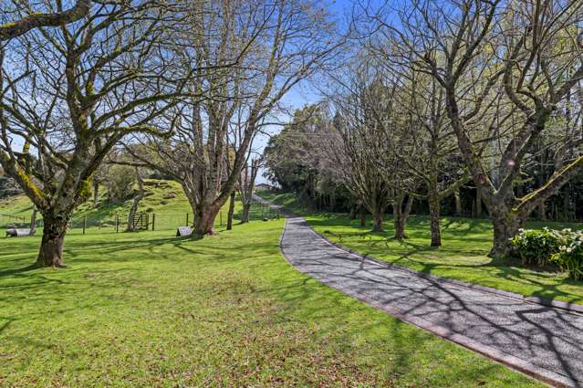 387 Tauranga Direct Road Hamurana_3