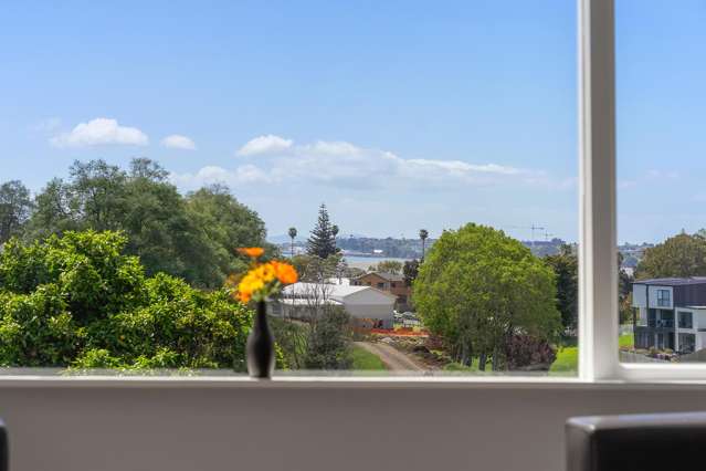 29 Oran Road Panmure_1