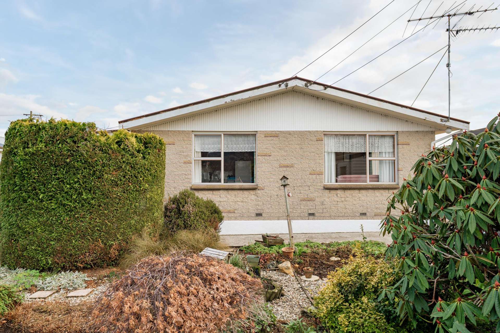 1/14 Chaucer Street Milton_0