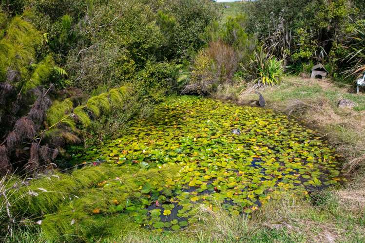 210A Goble Road Komata_27