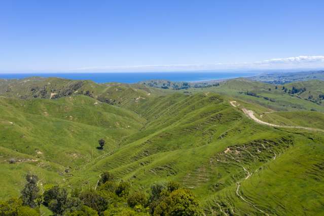 Opoutama Road Mahia_1