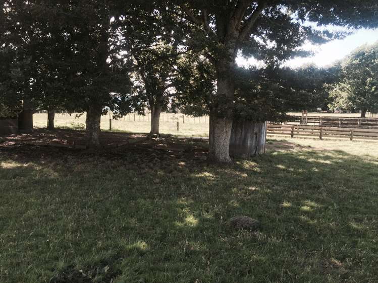 35 Pinedale Road Lichfield_14