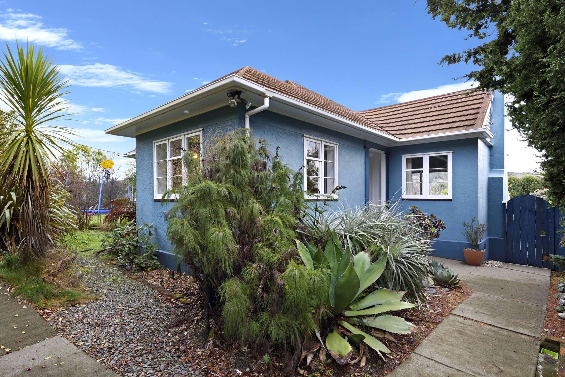 54 Campbell Street Nelson South_0