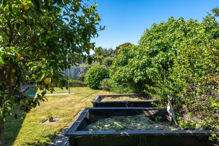 12 Lionel Place Mapua_28