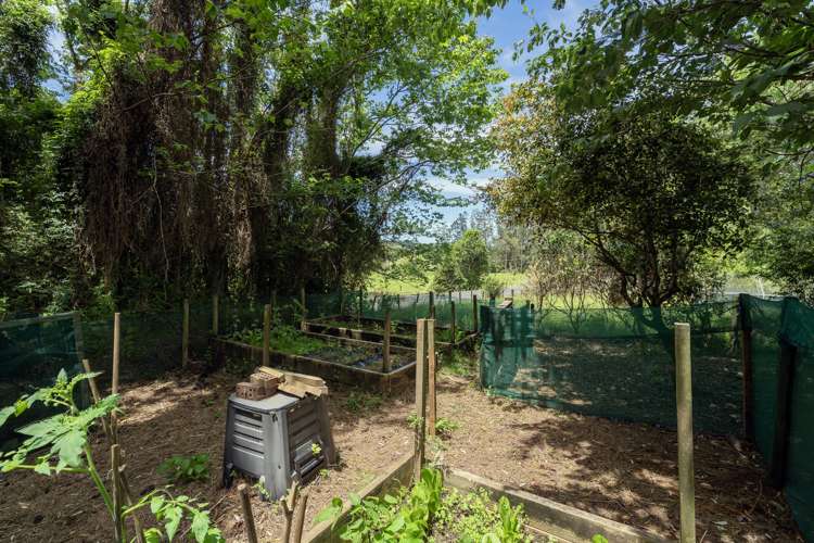 89 Purangi Road Purangi_19