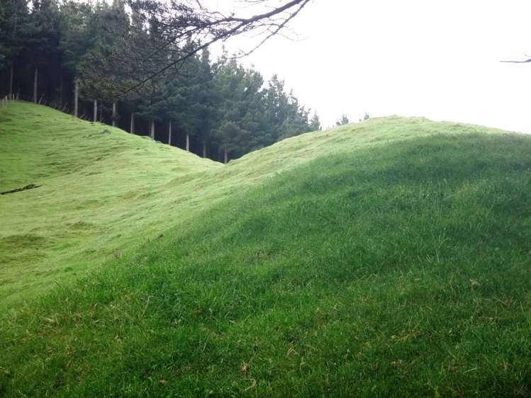 18 Kirk Street Matawai_16