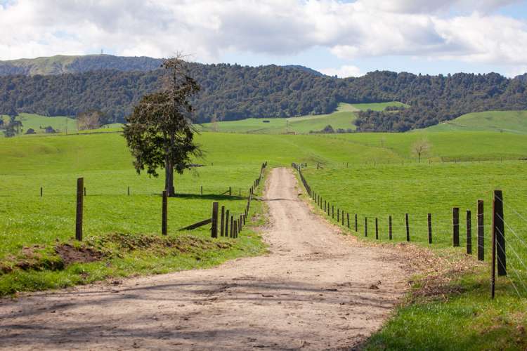 216a Rapurapu Road Te Poi_9