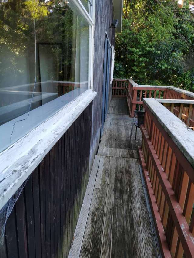 45 Takahe Road Titirangi_4