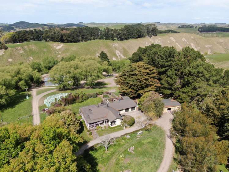 1298 Farm Road Waipukurau_10