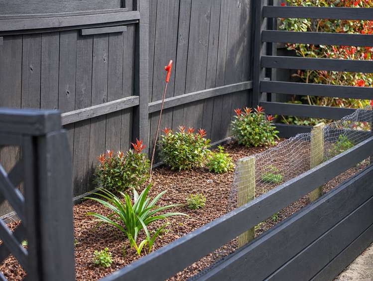 44 Snell Street Morrinsville_26
