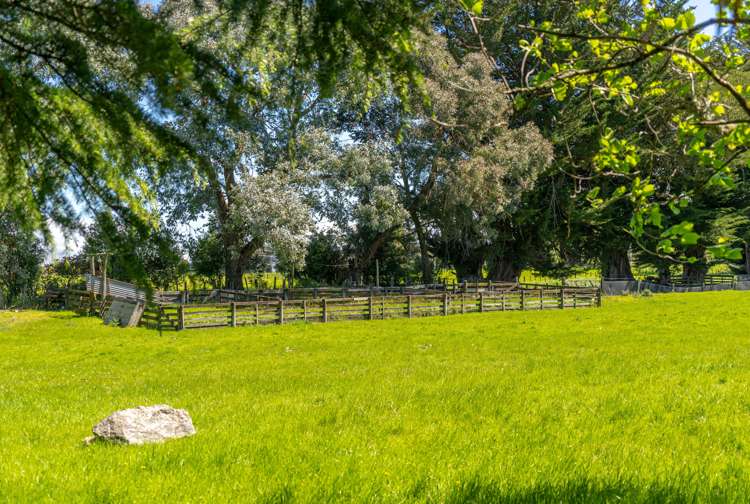 283 Manaia Road Masterton_25