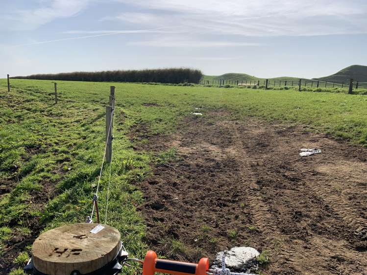 895 Bird Road Stratford_7